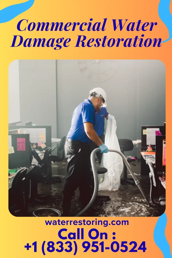 Commercial Water Damage Restoration in Ririe, ID